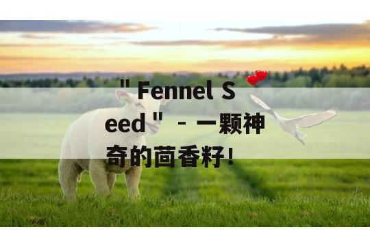  ＂Fennel Seed＂ - 一颗神奇的茴香籽！